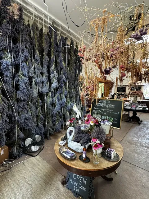 Summer Abbotsford Day Trip 🌻