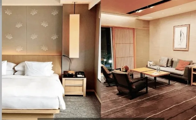 Tokyo Hotel Recommendations 🏨