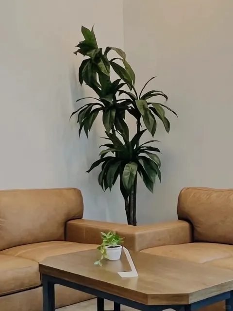 🇺🇸 Tampa Must-Try | Local Handcrafted Ice Cream Shop 🍨