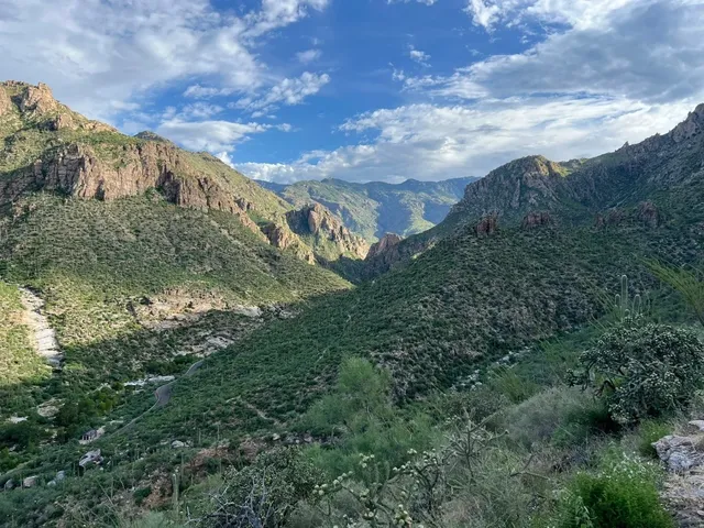 Tucson-Sabine canyon