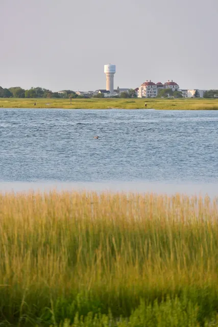 Ultimate Coastal Road Trip: Discovering Massachusetts’ Hidden Gem! 🚙 