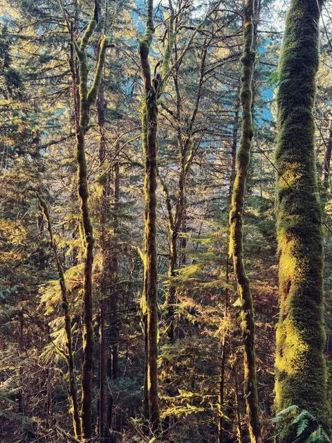 Embracing the Sunshine at Poo Poo Point ⛅️