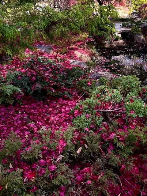 Just Discovered This Stunning Spot Near Atlanta🌿🌸