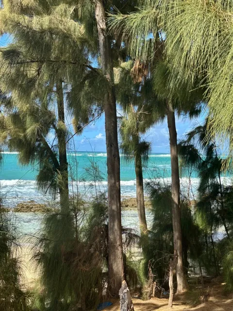 We'll Definitely Be Back! 🌺