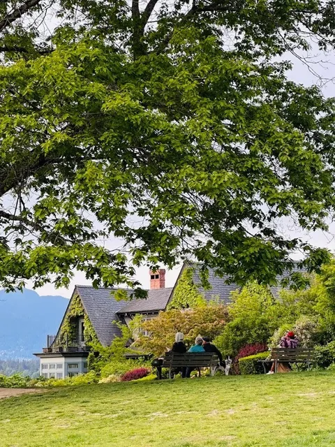 🇨🇦 Vancouver's Perfect Sanctuary for Introverts! 🌿✨