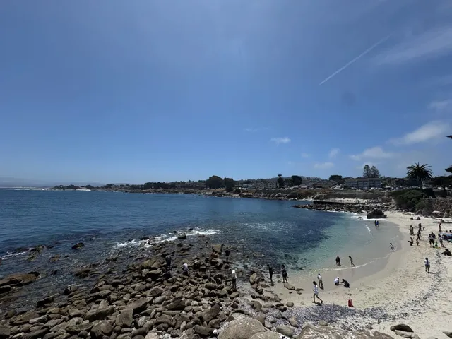 🌊 Relaxing 2-Day Weekend Trip to Monterey (Incl. Parking Tips)