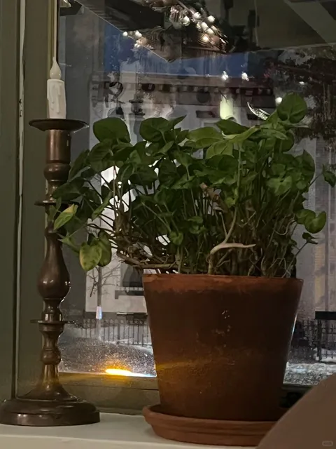 My Restaurant of the Year in DC – The Royal! 🏆