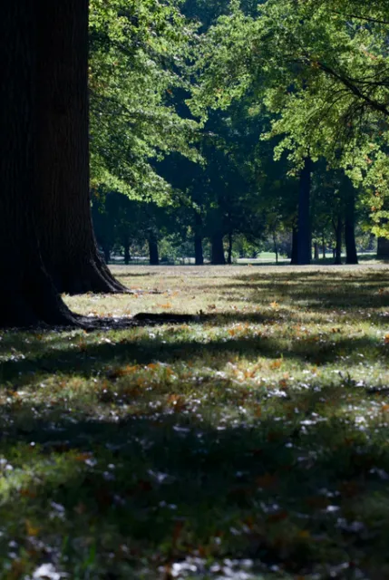 A Friendly Travelogue about St. Louis's Tower Grove Park