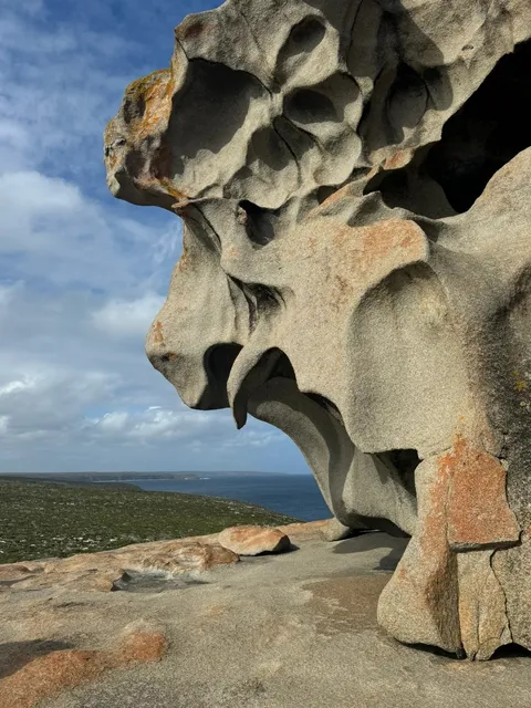 Must-Visit in Adelaide｜Who Said Kangaroo Island Isn’t Fun—I Disagree! 