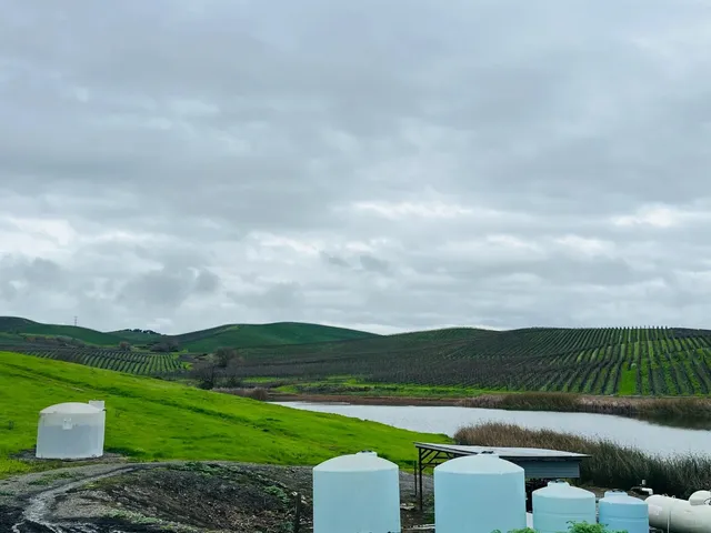  What Does US $30 Million Buy You in Napa?