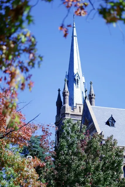 🇦🇺 Autumn in Armidale: A Slow-Paced Slice of Paradise 🍁