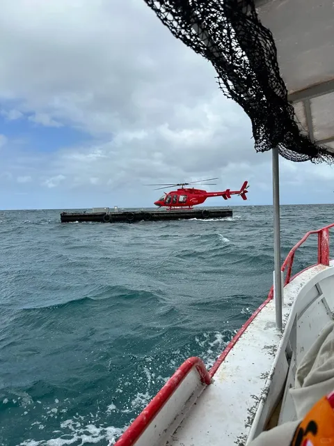 🇦🇺 Cairns Ultimate Adventure Week: Helicopters, Diving & Hiking! 🚁