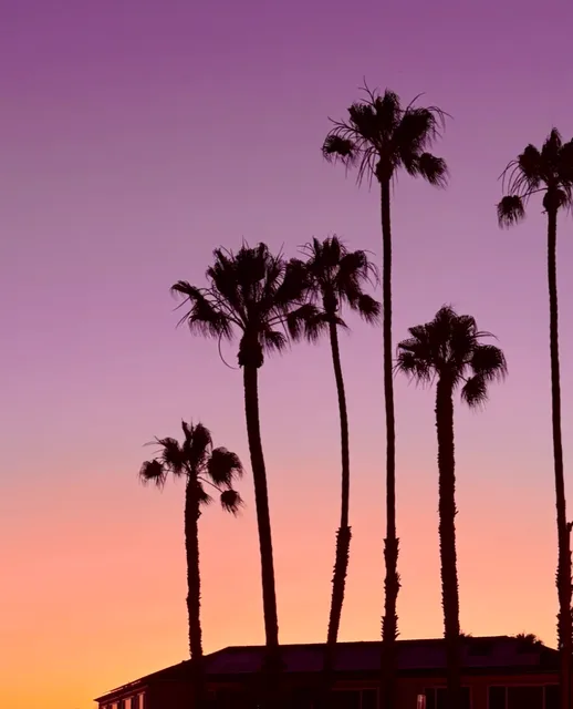  The Never-Ending Summer Movie of the West Coast