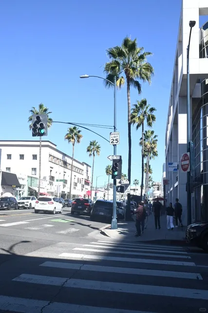 🌴 𝐋𝐀 | Framing the Romance of Los Angeles Through the Lens