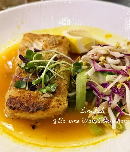 ✈️ Cape Town Round 2! A Winter Foodie Adventure 🍽️❄️