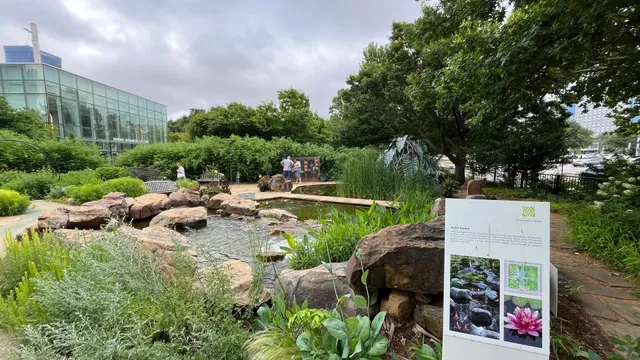 Myriad Botanical Gardens: A Hidden Gem in Downtown OKC 🌿