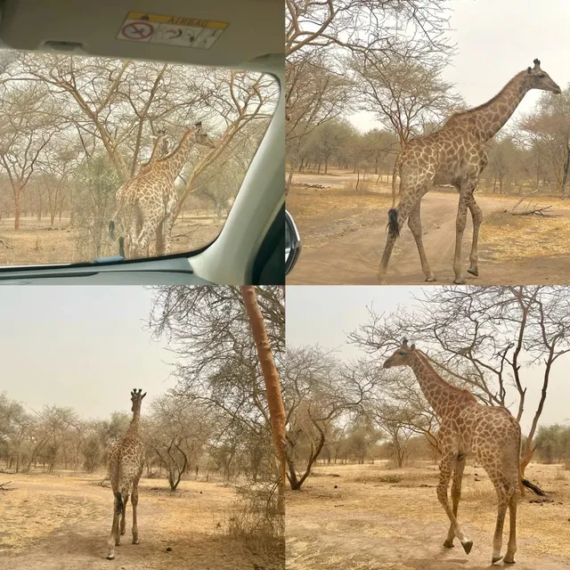 Must-Visit Places in Dakar & Beyond! 🏄🕌️