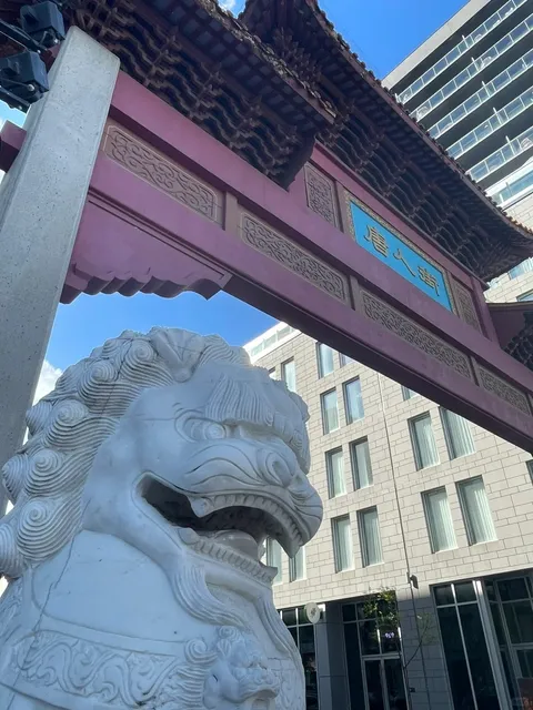 Don't Waste Your Money! Montreal DT Chinatown Pitfalls （2）🍲