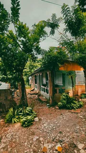 🇩🇴 Dominican Republic Tour Guide: Best Excursions & Hidden Gems!