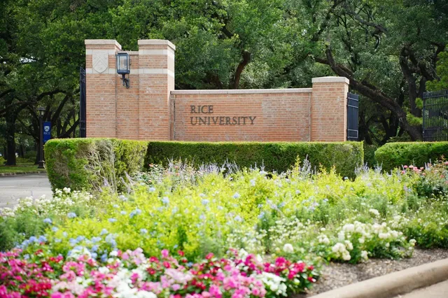 🦉 Rice University: An Elite Gem with a Distinctive Charm