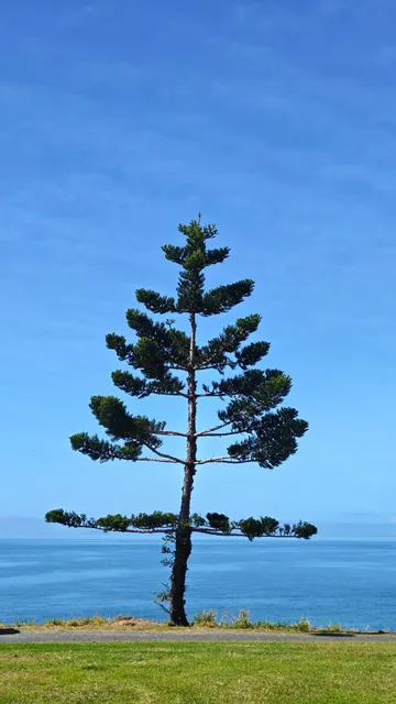 Coral Point Park Lookout – Mackay’s Hidden Coastal Gem 🌊
