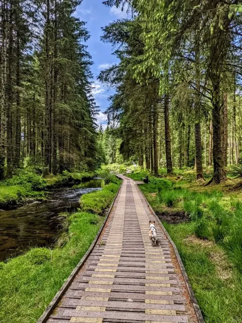 🇬🇧 Lord of the Rings-Style Hike Just 1.5h from Birmingham!