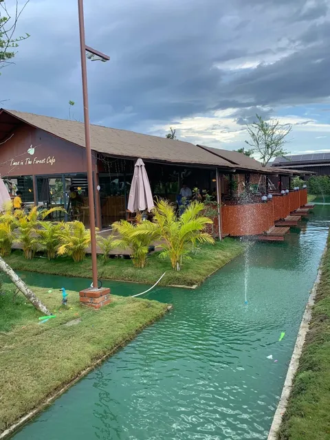 Yangon🇲🇲 Travel Diary: A Serene Escape in the Forest 🌳