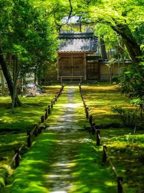 🌸 7-Day In-Depth Tour of Japan's Kansai 👏