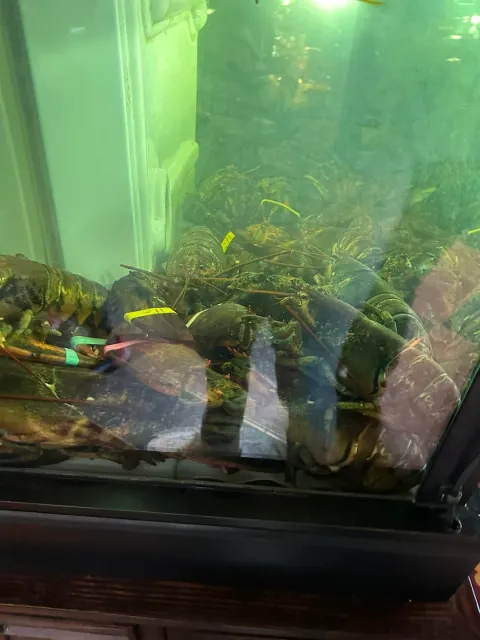 The Best Seafood Experience 🦞🌟