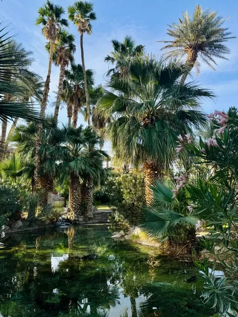 Stargazing Accommodation Recommendation in Death Valley  🌵✨