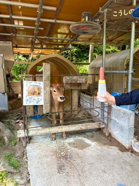 A Day Trip to Kobe's Rokko Mountain Ranch and Suma Aqualife Park (2)🌿