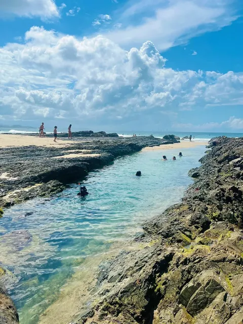 There's a Rock Pool by the Sea in Gold Coast | Rainbow Bay​