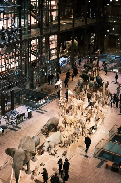 Paris | You Don't Have to Visit the Louvre 🏰✨