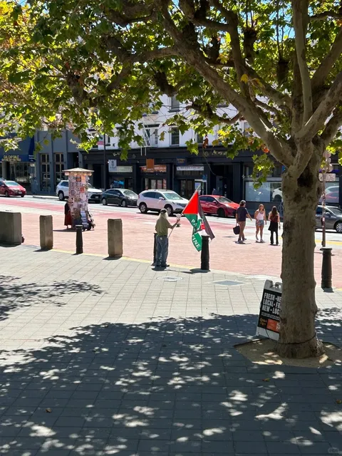 Day 1 Alone in Berkeley: A Rollercoaster 🎢💫