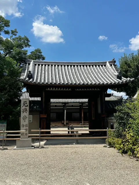 2025 Nara Day Trip(1)