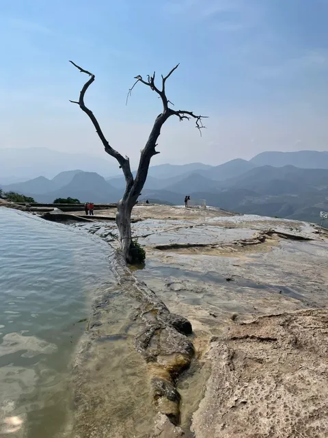 Oaxaca: Mexico's Most Beautiful and Vibrant City 🌈🏙️
