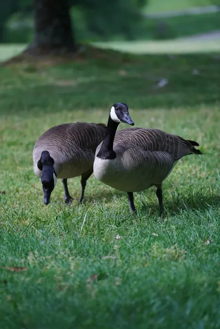 Richmond, VA: A “Free-Fun” Day Trip Guide 🎉