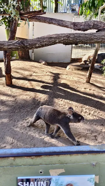 Rockhampton Travel Diary: Coastal Serenity & Island Adventures 🌊🐠