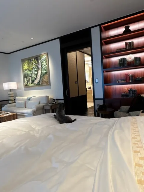 Where True Luxury Meets Emotional Intelligence