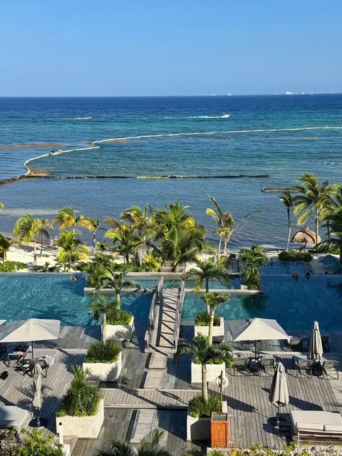 Secret Moxche Restaurant Review 🌴🍽️