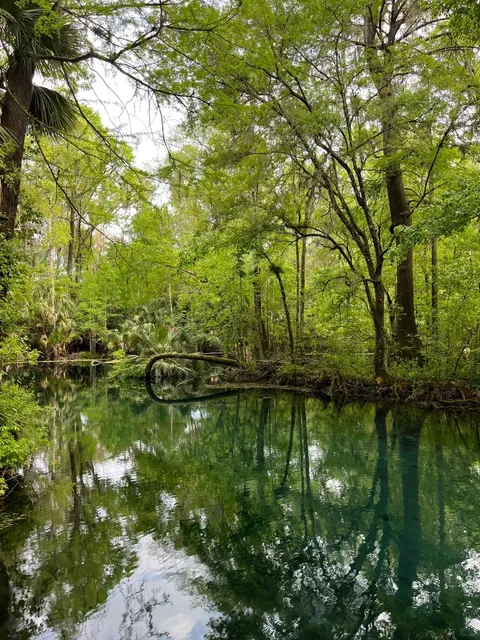  Tampa | Effortless Glass-Bottom Boats & Breathtaking Forest Hikes