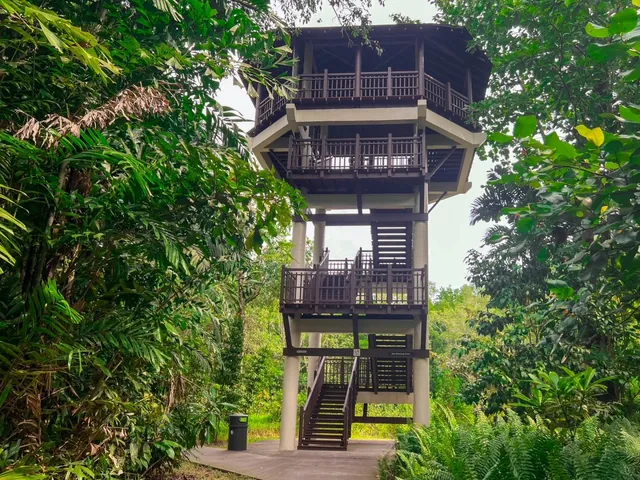 Singapore Birdwatching Pilgrimage | Pasir Ris Park 🦜🌳