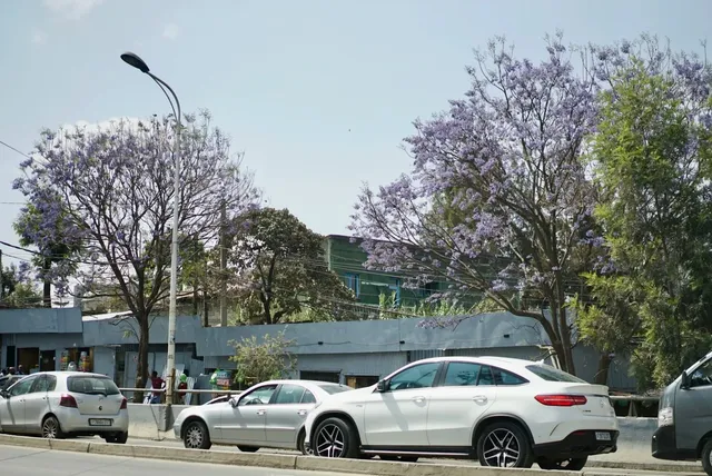 🇪🇹 Addis Ababa, Ethiopia | Survival Guide for Arrivals