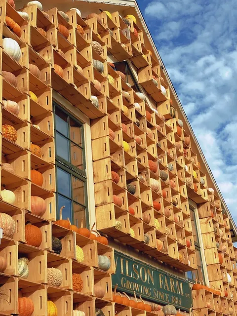 Boston’s Wilson Farm is so much fun to explore 🎃