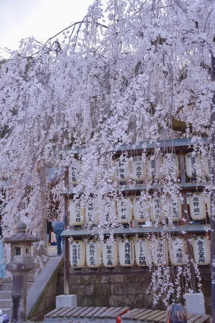 Ōishi Shrine🌸🍃