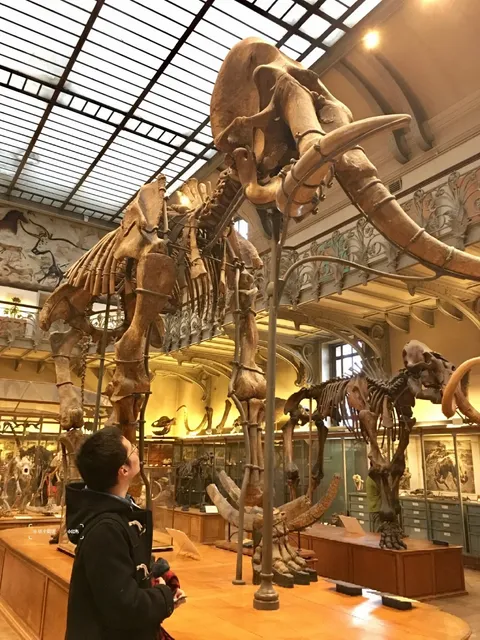 🦖 National Museum of Natural History, France