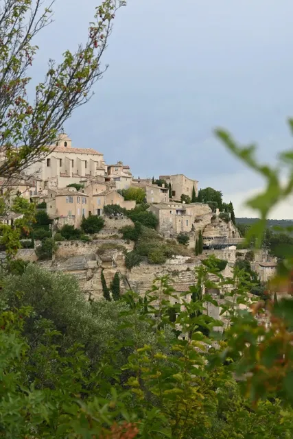 🇫🇷 A Brief Summer in Provence