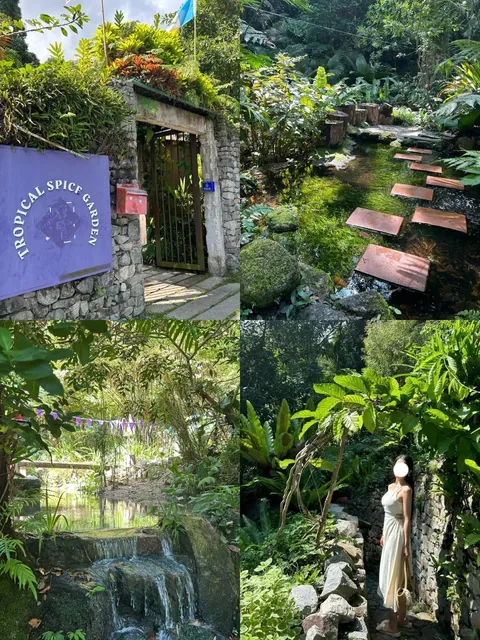 🇲🇾 Entopia by Penang Butterfly Farm | A Magical Escape 🦋✨