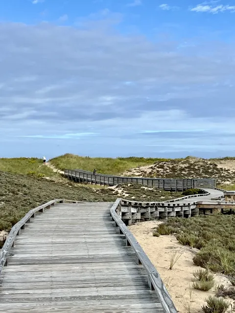 Boston Surroundings | Awesome State Park and Bird Sanctuary