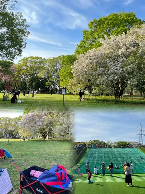 Koganei Park + Sushiro 🌟